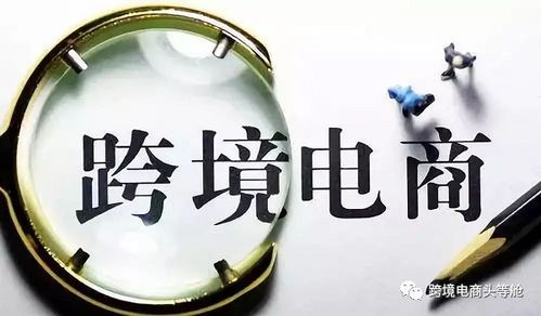 进博会又双叒来了,今年怎样玩转跨境贸易